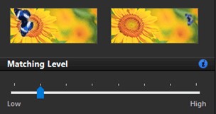 Duplicate Photos Fixer Pro matching level