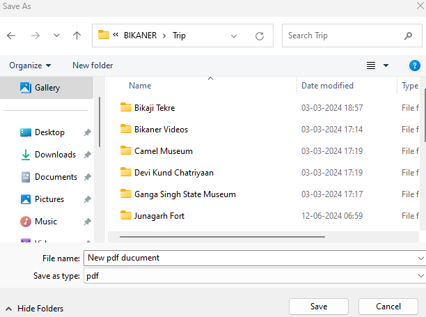 save as pdf